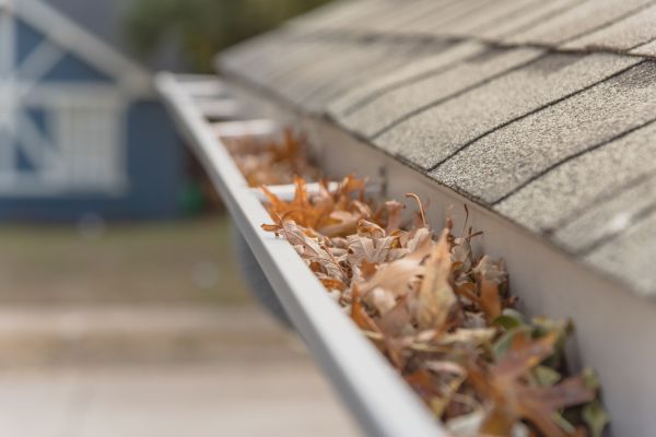 Leaf Barrier Installation in Snohomish